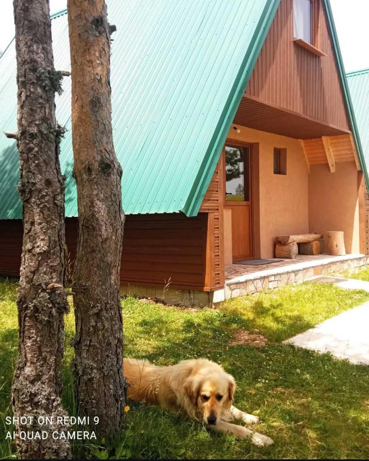 Vikendice Smolovic Villa Žabljak Eksteriør billede